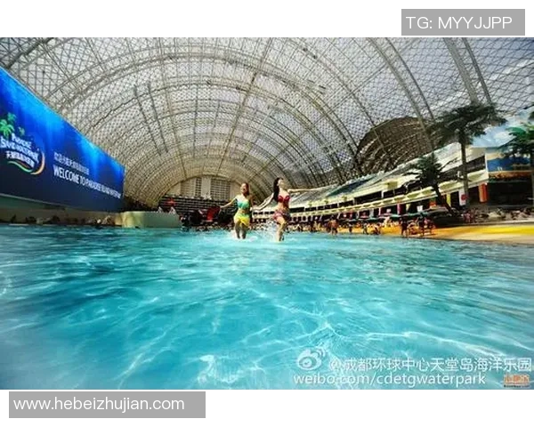 重磅专题：成都飞盘队的反击革新