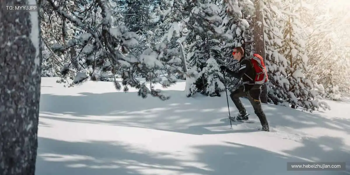 🎉赛事预告，精彩赛程提前锁定！📅